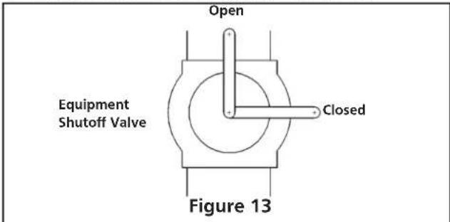 HeatStar HSVFRD10NG - Pressure Testing Heater Gas Connections: - 1