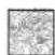 Fisher & Paykel BE1-36RCI-L - Clearances to combustible construction\*\* - 3