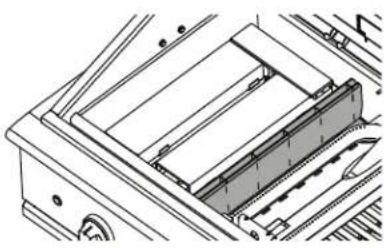 Fisher & Paykel BE1-36RCI-L - Sear burner - 1