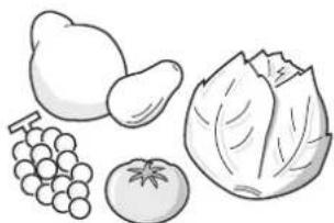 WESTINGHOUSE WFB2804AB - Fruit and vegetables - 1
