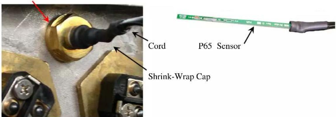 Hubbell J1615T - P65 SENSOR PROBE - 3