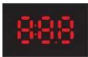 PAG Mini PAGlink MPL50 - Display Data Output: - 1