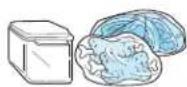SAMSUNG RT38DASW - Storing food - 2