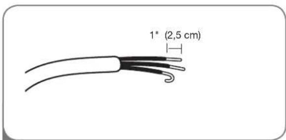 1" (2,5 cm)