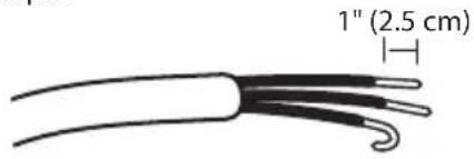 1" (2.5 cm)
