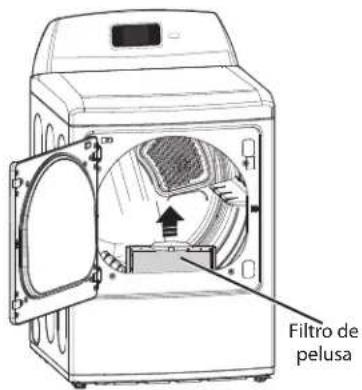 LG DLEX6001V - Limpieza del filtro de pelusa - 1