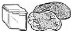 SAMSUNG RT29YVMS1 - STORING FOOD - 2
