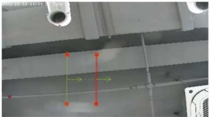 D-LINK DCS-F4605EK - Double Line Crossing - 1