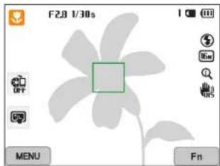 SAMSUNG WB2014F - Capturing photos - 3