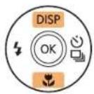 SAMSUNG WB2014F - Selecting with buttons - 1