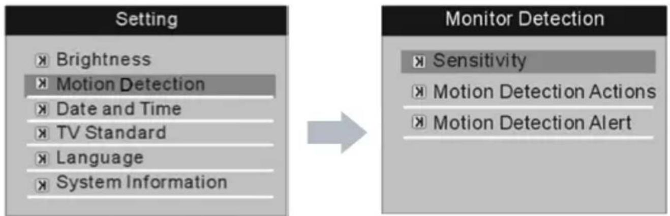 SecurityMan DIGILCDDVR4 - - Motion Detection - 1