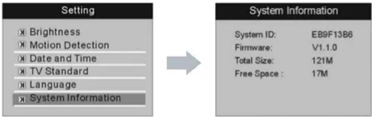 SecurityMan DIGILCDDVR4 - • System Information - 1
