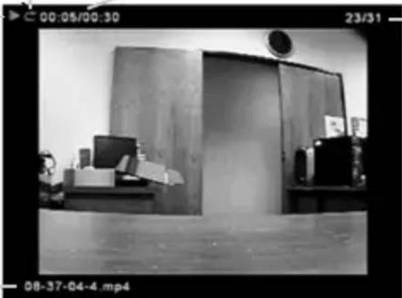 SecurityMan DIGILCDDVR4 - Playback Screen Display - 1