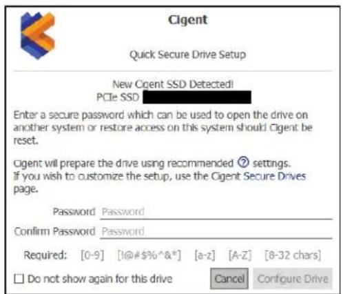 DIGISTOR DIG-SSD2C110008 - Setup and Cigent for Windows Installation - 10