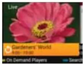 SHARP 40BI3KA - Freeview Play Button - 2