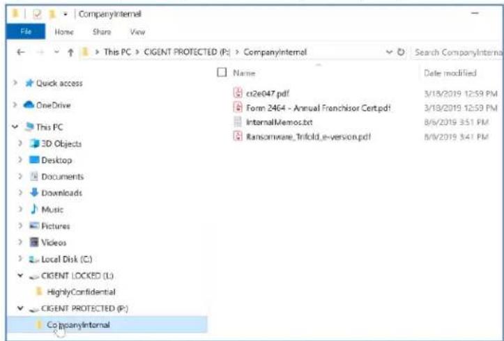 DIGISTOR DIG-M2N2C12568 - Accessing Dynamic Files - 1
