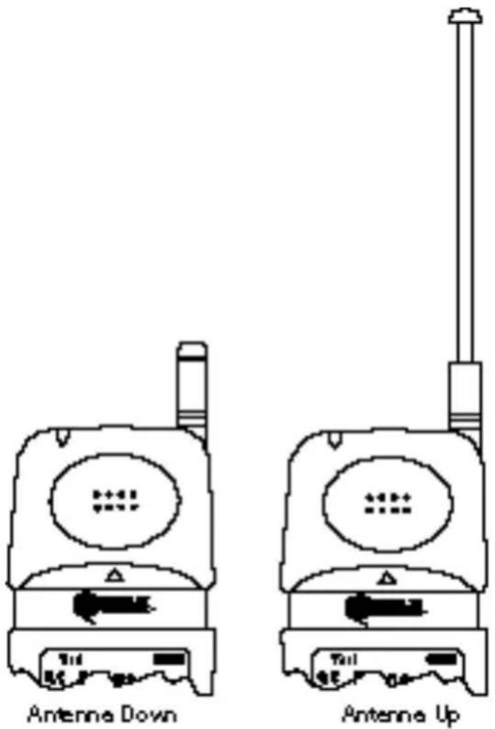 KYOCERA QCP 1900 - Antenna - 1