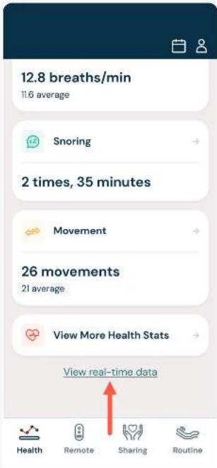 Dawn House Slate Queen - REAL-TIME DATA - 1