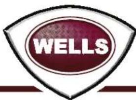WELLS