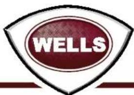 Wells B446 - CUSTOMER SERVICE DATA - 3