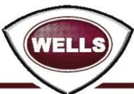 WELLS