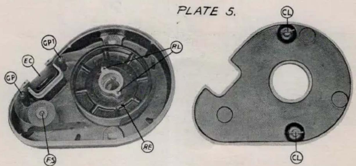 PLATE 5. GP1 EC GP RL RE FS CL CL
