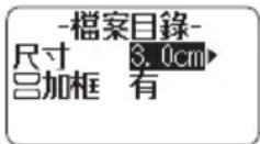 CASIO KL-G2TC - Creating an Index Label with Text You Input - 2