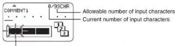 COMMENT1 0/3SCHR Allowable number of input characters Current number of input characters