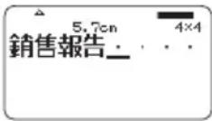 CASIO KL-G2TC - 銷售報告 - 3