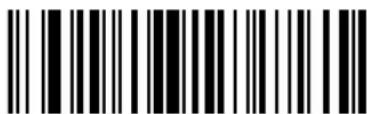 ZEBRA Cyclone M2004 - Keyboard Characters - 24