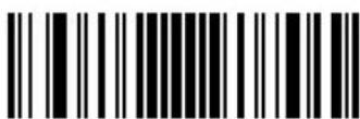 ZEBRA Cyclone M2004 - Flush Macro Buffer - 1