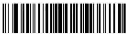 ZEBRA Cyclone M2004 - Pad Data With Spaces - 28