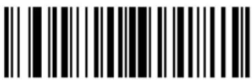 ZEBRA Cyclone M2004 - Code Lengths - 21