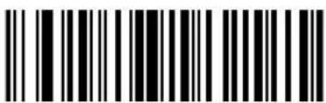 ZEBRA Cyclone M2004 - Pad Data With Spaces - 32