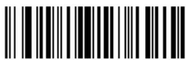 ZEBRA Cyclone M2004 - Keyboard Characters - 72