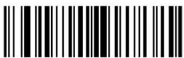 ZEBRA Cyclone M2004 - Code Lengths - 17