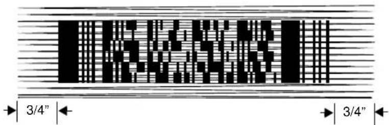 ZEBRA Cyclone M2004 - Scanning 1D (and RSS) or 2D Bar Codes - 1