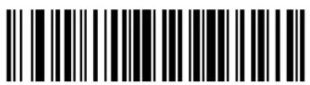 ZEBRA Cyclone M2004 - Send Keypad Characters (continued) - 21