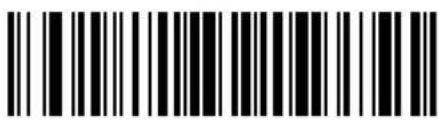ZEBRA Cyclone M2004 - Keyboard Characters - 13