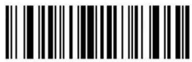 ZEBRA Cyclone M2004 - Keyboard Characters - 79