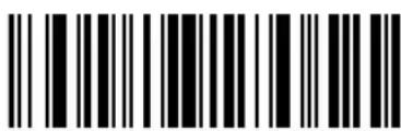 ZEBRA Cyclone M2004 - Keyboard Characters - 71