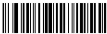 ZEBRA Cyclone M2004 - Control Characters - 22