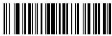 ZEBRA Cyclone M2004 - Keyboard Characters - 95