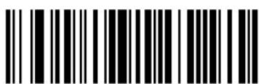 ZEBRA Cyclone M2004 - Send ALT Characters - 8