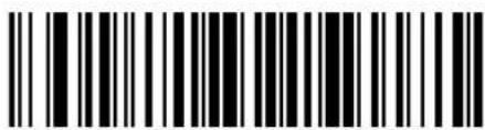 ZEBRA Cyclone M2004 - Keyboard Characters - 67
