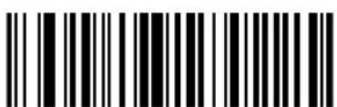 ZEBRA Cyclone M2004 - Keyboard Characters - 7