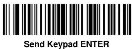 ZEBRA Cyclone M2004 - Send Keypad Characters - 7