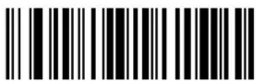 ZEBRA Cyclone M2004 - Pad Data With Spaces - 24
