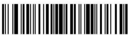 ZEBRA Cyclone M2004 - Skip Back "N" Characters - 11