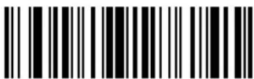 ZEBRA Cyclone M2004 - Send Data - 25